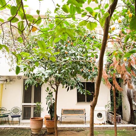 Quiet And Central Flat With Private Backyard Garden アテネ エクステリア 写真