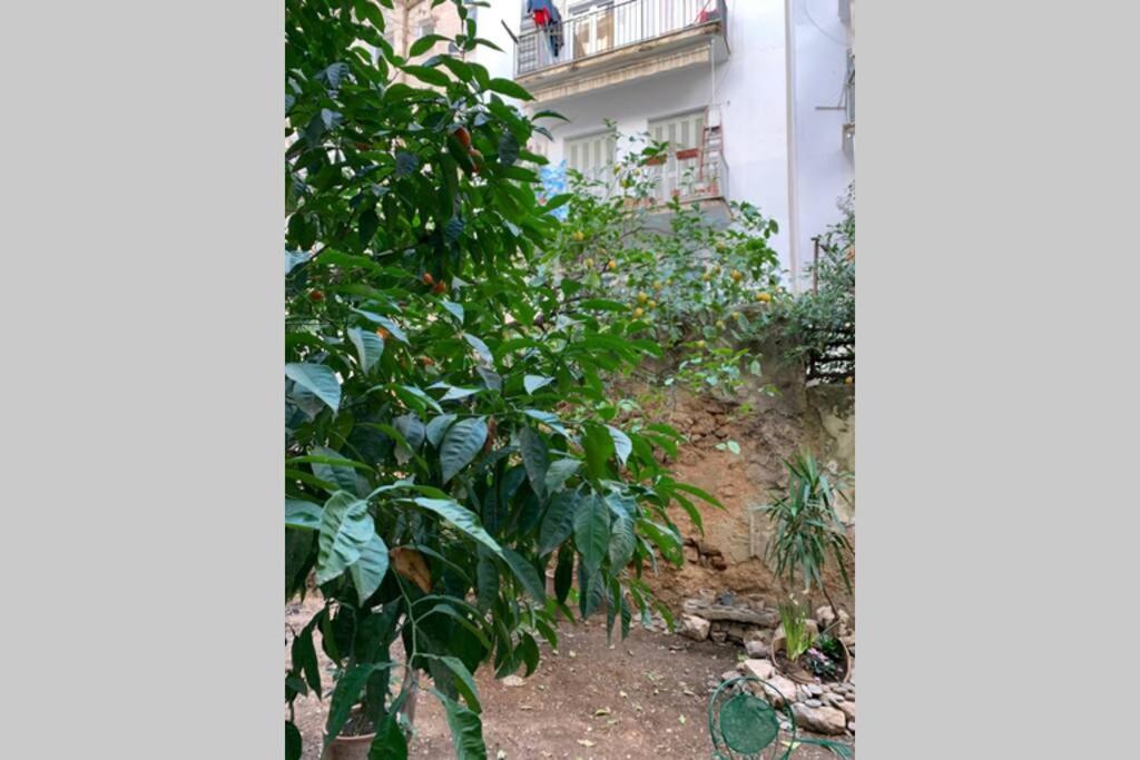 Quiet And Central Flat With Private Backyard Garden アテネ エクステリア 写真