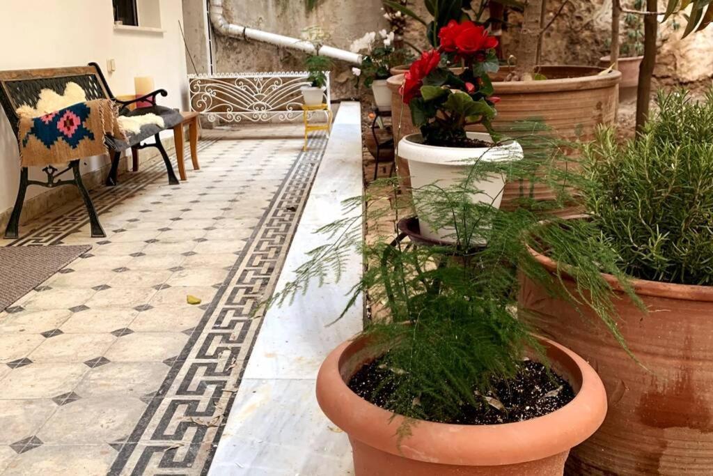 Quiet And Central Flat With Private Backyard Garden アテネ エクステリア 写真