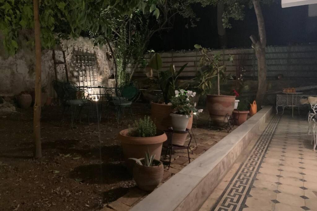 Quiet And Central Flat With Private Backyard Garden アテネ エクステリア 写真