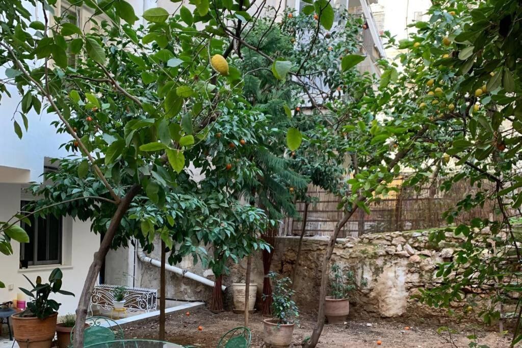 Quiet And Central Flat With Private Backyard Garden アテネ エクステリア 写真